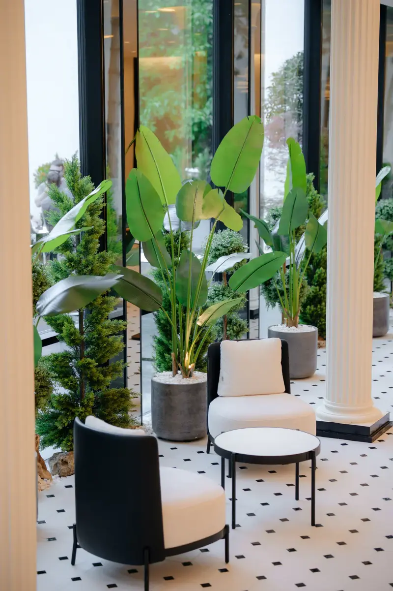 Sala Blanc, Raymond Park, fotografia 51