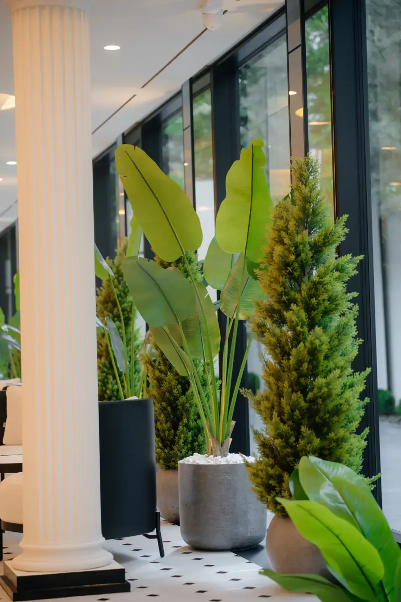 Sala Blanc, Raymond Park, fotografia 60
